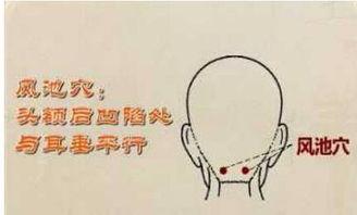 调理颈椎的方法视频,轻松缓解颈肩不适，恢复颈椎健康