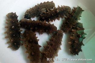 怎样发海参最好视频,视频揭秘海参烹饪技巧