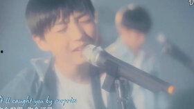 囚鸟视频,揭秘自由与束缚的深刻寓言